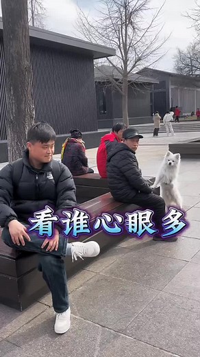 Dog Sound Prank Gone Too Far 😂 #dogsoftiktokviral #funnyanimals #prankwithdogs #animetiktok #dogs