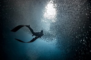 The Scuba Alternative: 5 Unforgettable Underwater Adventures