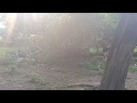 Second day return jagal me ll mini vlog ll full watch this video