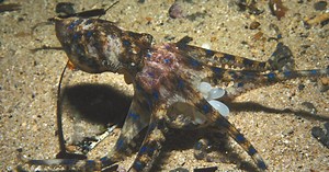 Yahoo Search - Búsqueda en la Web