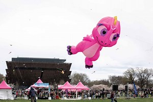 Blossom Kite Festival - National Cherry Blossom Festival