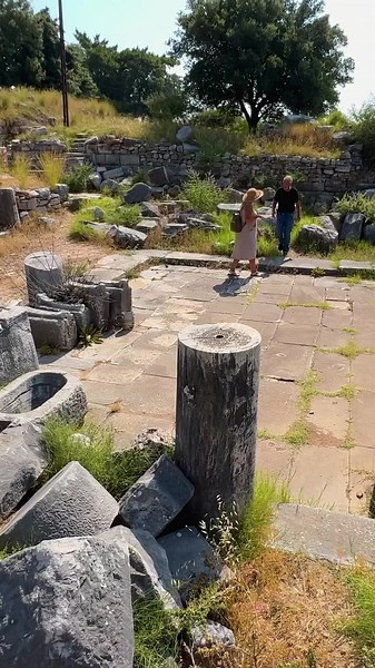 The Prytaneion in ancient Greek cities, including Priene, served as a significant governmental and administrative center. In these cities, the Prytaneion was where the city's officials and executives, known as prytaneis, conducted their official duties. These buildings often housed the sacred fire of Hestia, symbolizing the city's welfare and unity, and served as a location for official receptions and banquets for distinguished guests.Priene, located in ancient Ionia near the modern-day town of 
