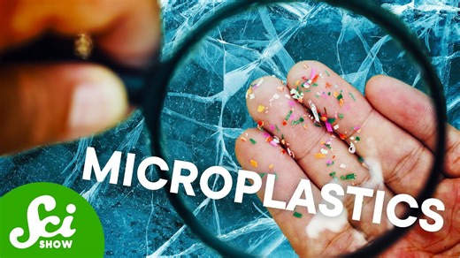 The Arctic is drowning in plastic