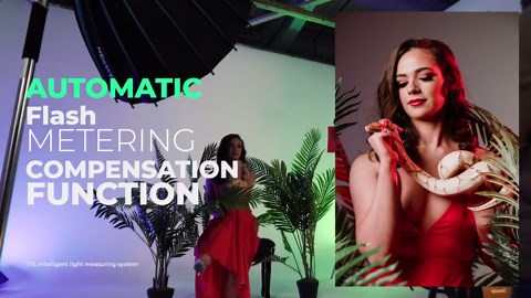 Neewer VISION5 400Ws 2.4G TTL Flash Strobe Compatible with Canon DSLR Cameras, 1/8000s HSS Monolight with Wireless Trigger,6000mAh Battery to Cover 500 Full Power Shots Recycle in 0.01-2.8 Sec