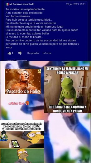 #memes #parati #fyt #fypシ #xd #fino #gato #fypシ