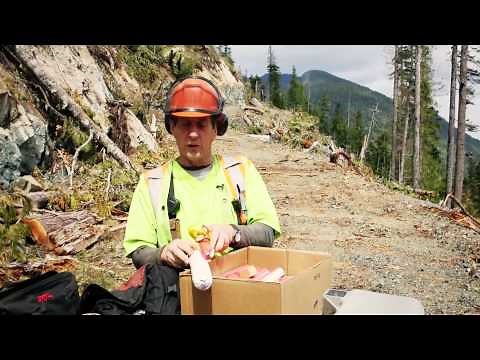 Danger Tree Blasting - Below Road Right of Way