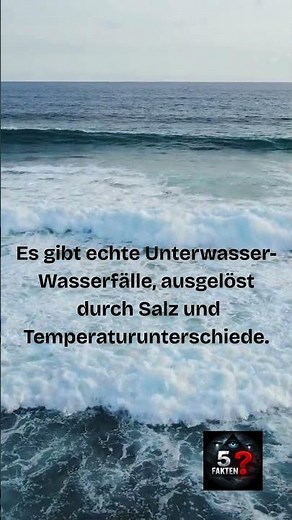 🌊 5 unglaubliche Fakten über die Ozeane!