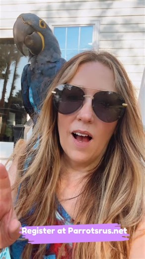 61 reactions | 列 Is your parrot’s behavior leaving you feeling...