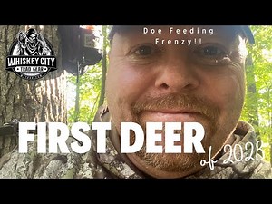 2023 Black Widow Recurve Bow Deer Hunt Success!