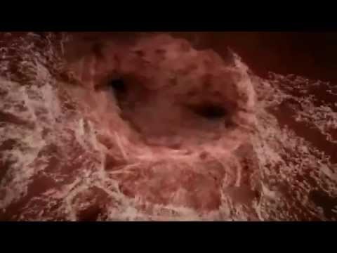 Genesis "L'Odyssée de la Vie"