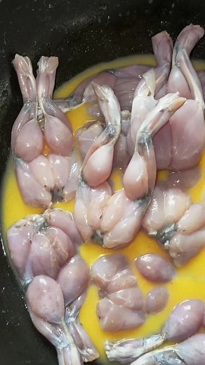 Delicious Frog Leg Recipe for Family Dinner | Kerala Thavala