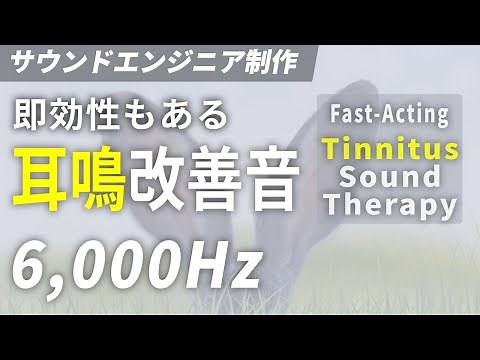 耳鳴り改善音 高音域 6,000Hz × ホワイトノイズ | 耳鳴り治療音 軽減方法 耳鳴りキーン