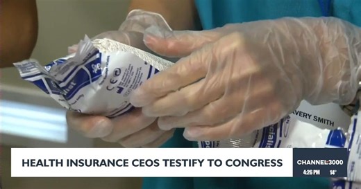 Health insurance CEO's testify to Congress
