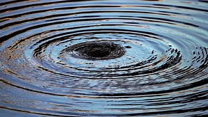 Drops of water in the pond - Free Stock Video