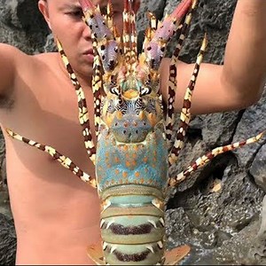 181K views · 3.9K reactions | We would like to share all of you all videos, photos in countryside for you. Cooking Videos Primitive Videos Dessert Videos Amazing Videos Photos | EASY FOOD | Facebook