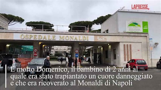 The death of Domenico, the two-year-old boy who had received a damaged heart transplant, the story in one minute