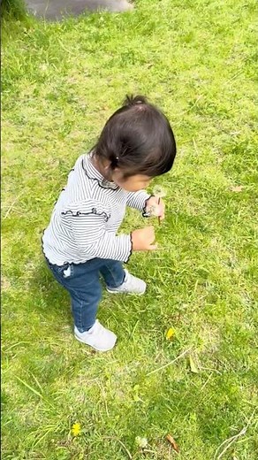 ふーしても中々飛ばないたんぽぽの綿毛さん😂😂😂 #1歳 #子供のいる暮らし #赤ちゃん #赤ちゃんのいる生活 #成長記録 #おもしろ動画 #面白い #1歳9ヶ月 #公園