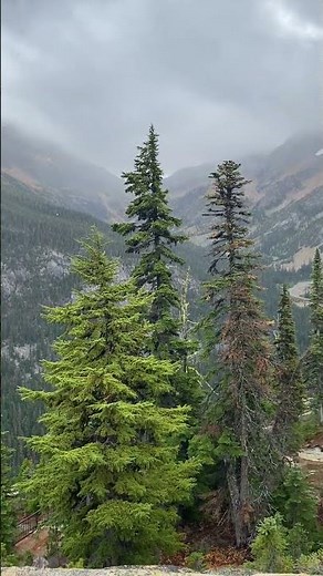 Great rainy view at Washington Pass overlook near Mazama, Washington in the North Cascades, 2021