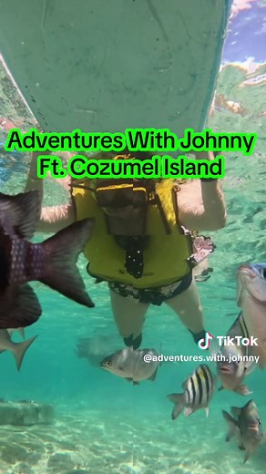 🌴 Escape to Cozumel Island — where crystal-clear waters, colorful reefs, and laid-back island vibes create the perfect tropical getaway! From world-class snorkeling at Palancar Reef 🤿 to sunny beach clubs, fresh seafood, and unforgettable sunsets — Cozumel is ideal for couples, families, and solo travelers who want beauty and adventure in one place. ✨ Why Cozumel? ✔️ Easy flights ✔️ Stunning beaches ✔️ Incredible marine life ✔️ Relaxed, safe, and welcoming atmosphere Let me help you plan the p