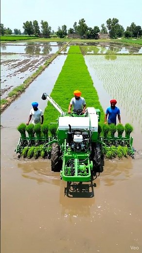 Ai Rice Transplanter Machine in Indian Farm | Modern Paddy Farming Drone View