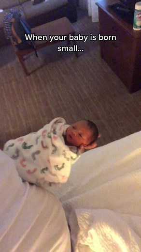 How Small Were You at Birth? Exploring Premature Births and Low Birth Weight Babies