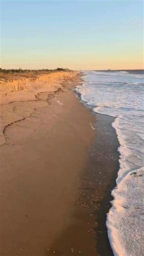 15K views · 124 reactions | What do Delaware beaches look like after the storm's impact on Aug. 21? Here's a tour of Dewey, Cape Henlopen and Rehoboth beaches early on Aug. 22 in the wake of Erin. ️Shannon Marvel McNaught/Delaware Online | Delaware Online | Facebook