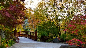 Pumpkin Patches, Apple Picking and More Things to Do Around Chicago This Fall