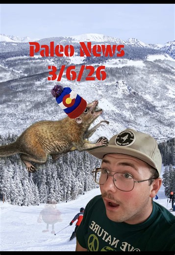 Purgatorius: Our Early Primate Ancestor in Colorado