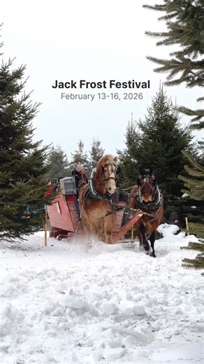 Remember the joy and awe of the perfect snow day? @jackfrostpei is bringing that childlike wonder back for their annual winterfest. This weekend only, you can step into a magical winter wonderland. From soaring down tube runs and ice slides to horse-drawn carriage rides, cozy fires, bouncy castles, and kid-themed performances - there’s magic to be found everywhere. If you’re in @tourismpei, don’t miss out! 🎥: @meghanmartell 📍: @jackfrostpei @tourismpei #ExploreCanada #ExploreCanadaCreator #Exp