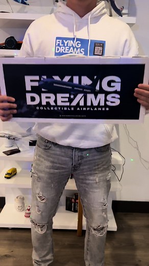 Flying Dreams on TikTok