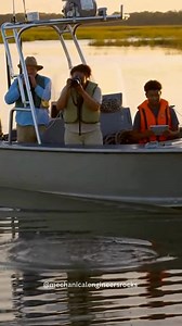 Sightings of a rare pink dolphin in the waters of Louisiana have captivated both locals and marine scientists. Unlike the famous Amazon pink river dolphin, this dolphin’s color is believed to come from a rare genetic condition—most likely albinism or leucism—in a bottlenose dolphin. These conditions reduce pigmentation, giving the animal its striking pale-pink appearance. Such dolphins are extremely rare in the wild, making each sighting scientifically valuable. Researchers monitor these individ