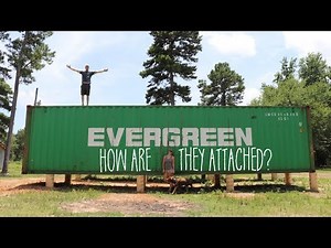 THESE SUCKERS AREN'T GOING ANYWHERE!