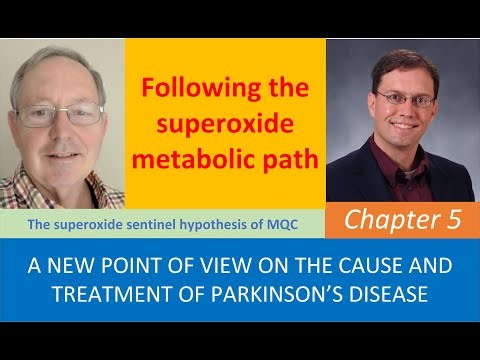 Chapter5 Superoxide formation and metabolic outcomes leading to selective mitophagy.