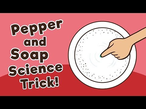 Pepper and Soap Science Trick