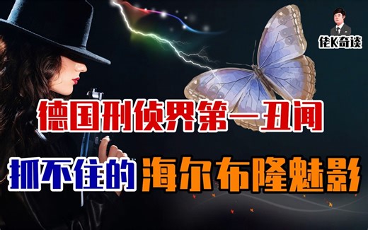 一组神秘女人的DNA牵出多起大案，专案组调查10年无果，却因一部动画片揭露真相！