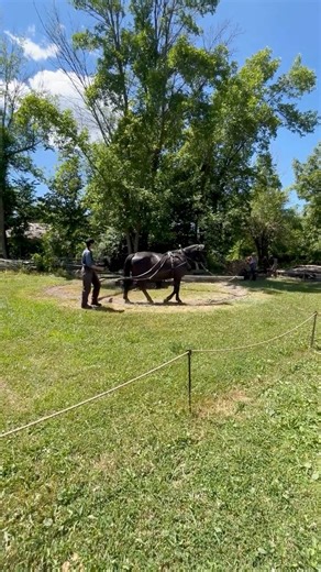 Adorable Farm Animals of Upper Canada Village