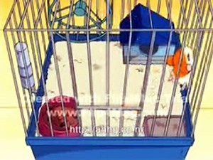 Hamtaro: The Abridged Series (KiwiKenobi) ep. 1