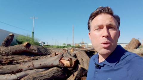 Phoenix sawmill sees boost after Tempe microburst