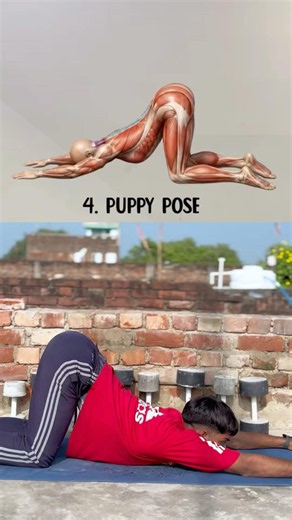 🧘‍♂️ 6 Yoga Poses for a Flexible & Healthy Body! #yogamonth #yogaforwellness #wellness #shorts