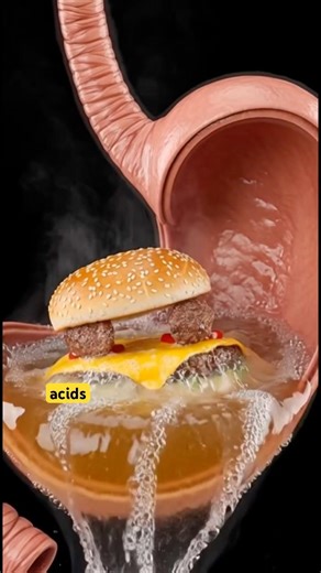 “What Happens Inside Your Body When You Eat a Healthy Burger?