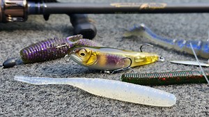 5K views · 344 reactions | Don't overlook finesse fishing this time...