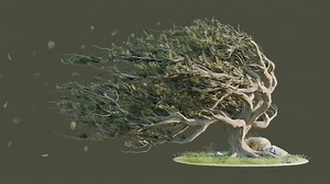 Roen Tree Wander Wind