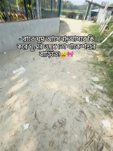 Struggling to Sleep? Insights on Remedies