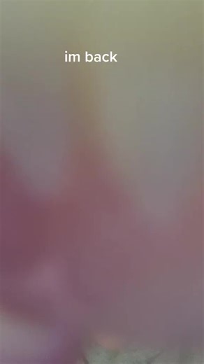 Hilarious Dentures Comedy: I'm Back!