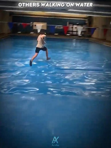 Moose walking on water💀