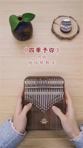 鲁儒卡林巴21音拇指琴教学