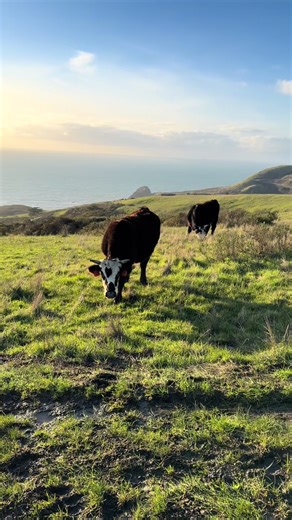 Discover California: The Closest Thing to Heaven
