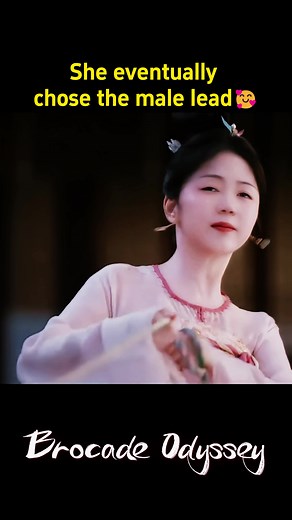 Exploring Chinese Drama with Male Leads