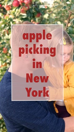 307K views · 839 reactions | Find apple picking locations near you! | New York Apples | Facebook
