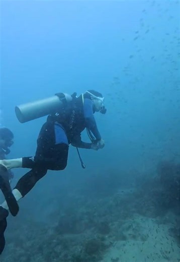 Explore the Ocean: A First-Time Scuba Diving Experience